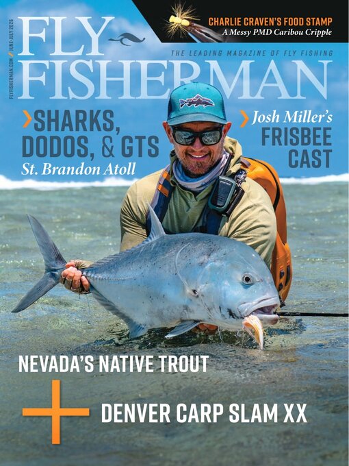 Cover image for Fly Fisherman